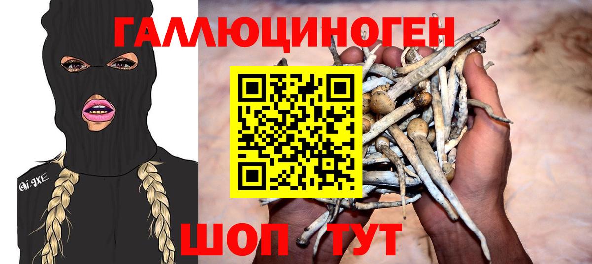 Галлюциногенные грибы Magic Shrooms  Вход с VPN  Карасук  Галлюциногенные грибы Magic Shrooms 
